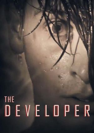 The Developer's poster