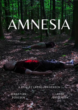 Amnesia's poster