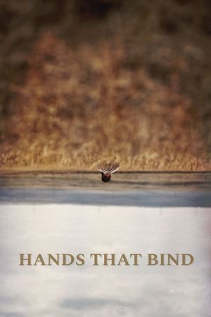 Hands That Bind's poster