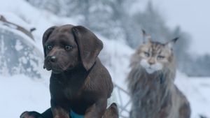 Cat and Dog's poster