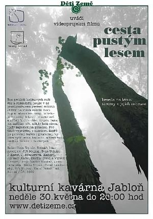 Cesta pustým lesem's poster image