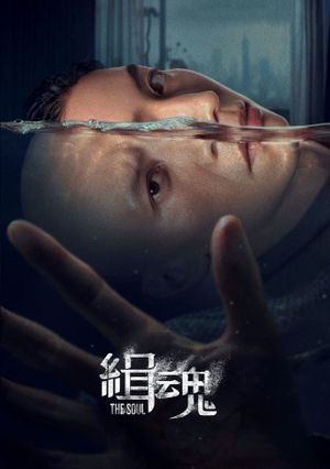 The Soul's poster