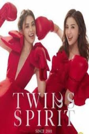 Twins SPIRIT Since 2001 Live 2024's poster