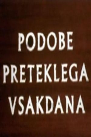 Images of Daily Life in Slovenia's Past's poster