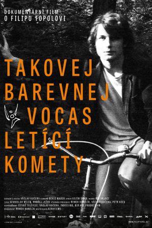 Takovej barevnej vocas letící komety's poster