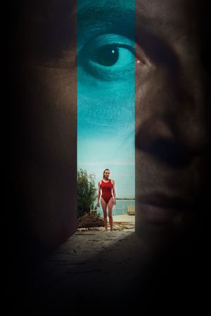 Visions's poster