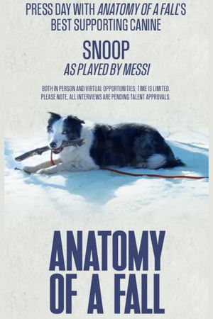 Anatomy of a Fall's poster