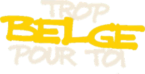 Trop belge pour toi's poster