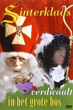 Sinterklaas Verdwaalt In Het Grote Bos's poster