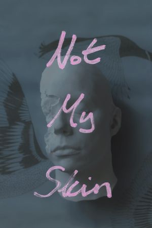 Not My Skin's poster