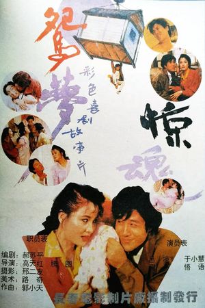 鸳梦惊魂's poster image