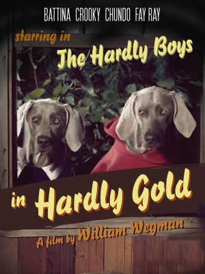 The Hardly Boys in Hardly Gold's poster image