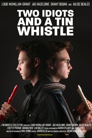 Two Idiots and a Tin Whistle's poster