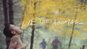 We the Animals's poster