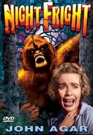 Night Fright's poster
