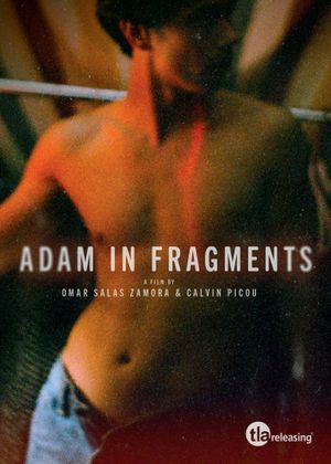 Adam in Fragments's poster