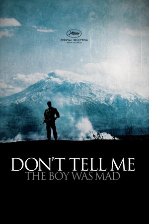 Don't Tell Me the Boy Was Mad's poster