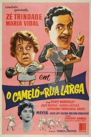 O Camelô da Rua Larga's poster