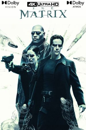 The Matrix's poster