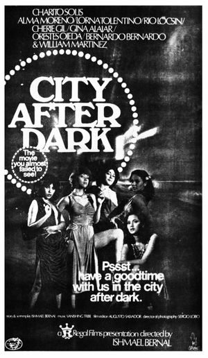City After Dark's poster