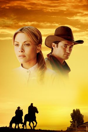 Love Begins's poster