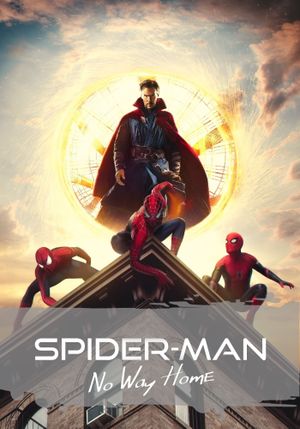 Spider-Man: No Way Home's poster
