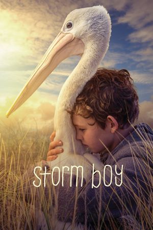 Storm Boy's poster