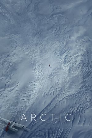 Arctic's poster
