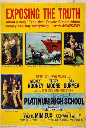 Platinum High School's poster