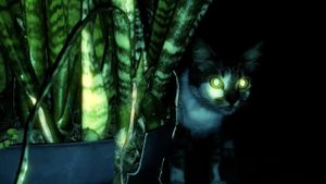 Being a Cat - GNW Cat's poster