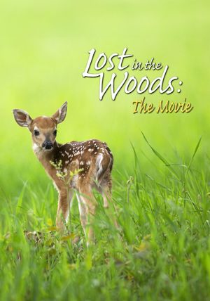 Lost in the Woods: The Movie's poster