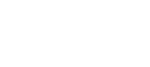 Bull Shark vs Hammerhead's poster
