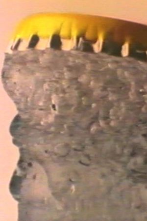 Schweppes Ad's poster