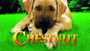 Chestnut: Hero of Central Park's poster