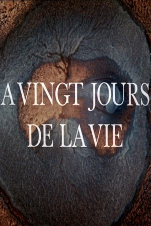 A vingt jours de la vie's poster
