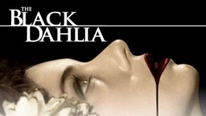 The Black Dahlia's poster