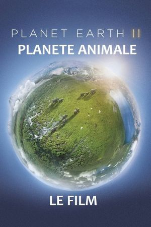 Planète animale 2 : Survivre's poster