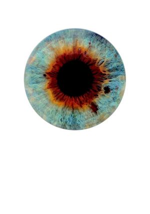 I Origins's poster