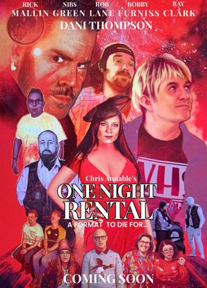 One Night Rental's poster image