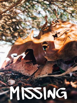 Missing's poster