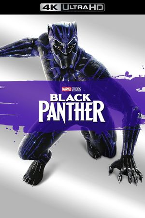 Black Panther's poster