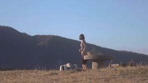 Vanished Girl in the Woods's poster