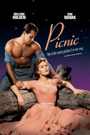 Picnic's poster