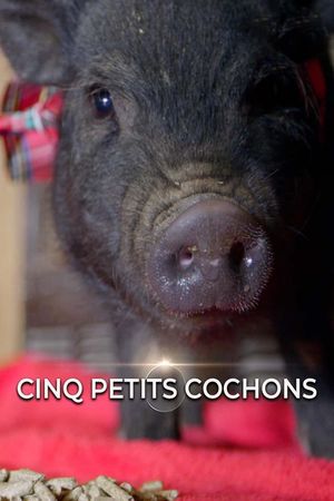 Cinq petits cochons's poster