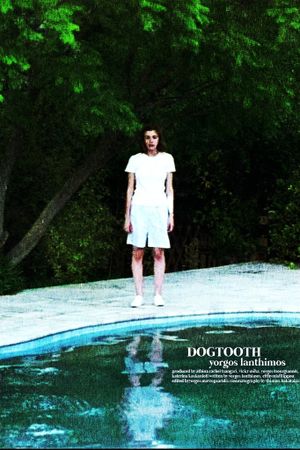 Dogtooth's poster