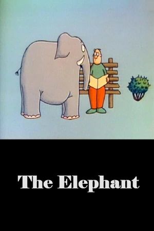 The Elephant's poster image