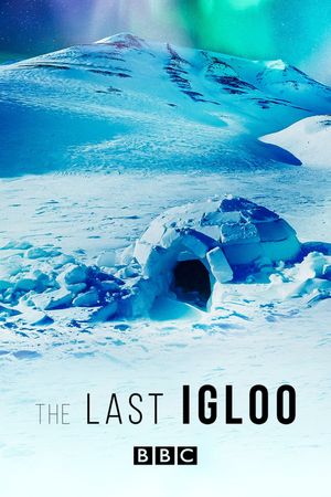 The Last Igloo's poster