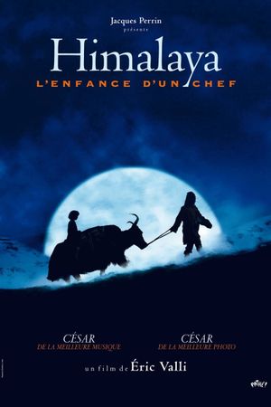 Himalaya's poster