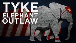 Tyke: Elephant Outlaw's poster