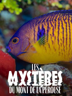 The mysteries of Mont La Pérouse's poster